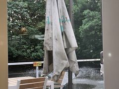 -芭厘农庄老字号·清远鸡