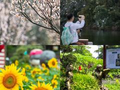 -广州莲花山旅游区