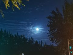 -润伊康·正骨推拿·盲人按摩(南横东街店)