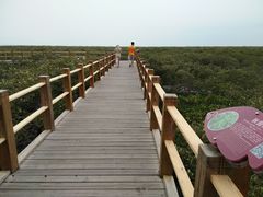 -北海金海湾红树林生态旅游区