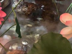 -徽镇小厨·经典徽菜(十里河店)