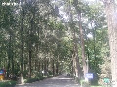 P05-08-10_10.39-顺鑫绿色度假村