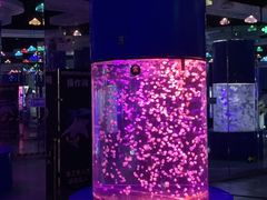 -重庆欢乐海底世界