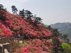 -木兰云雾山