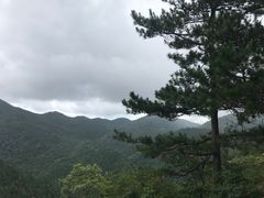 -四明山国家森林公园