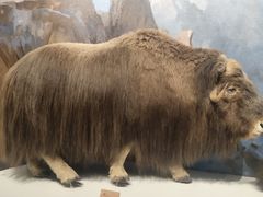 -陕西自然博物馆