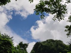 -终南山国家森林公园