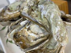 -威海渔村(静安旗舰店)