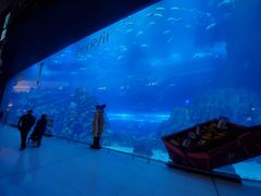 -迪拜水族馆及水下动物园