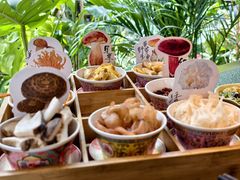 -菌自由丨野生菌火锅特色庭院餐厅(丽江古城店)