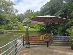 -大象粑粑造纸公园