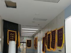 -中农国际动物医院24小时·猫科·骨科·急重症中心
