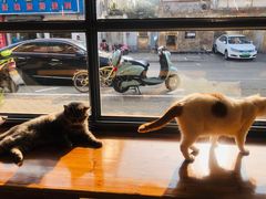 -B.O.M波姆烘焙(凤凰街店)