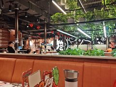 -猫爪爪原切自助烤肉(观音桥阳光世纪店)