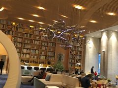 -苏州金鸡湖文博诺富特酒店