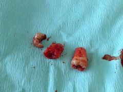 -南方医科大学口腔医院(番禺院区)