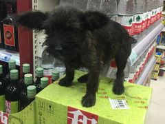 -宠颐生维康宠物医院(金丰店)