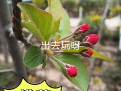 -太阳宫公园