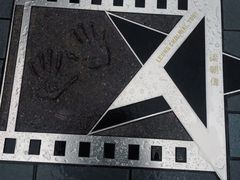 -星光大道