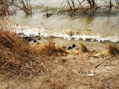 -大兴滨河森林公园