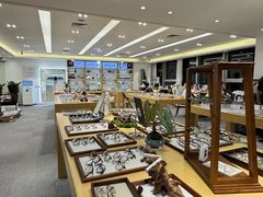 -Eziwish眼镜·蔡司授权店