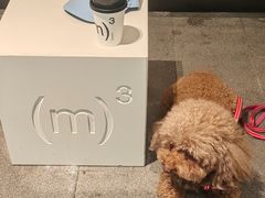 -CUBIC3三立方咖啡(西岸凤巢店)