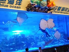-成都浩海立方海洋公园