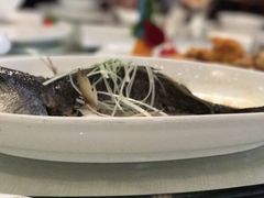 -双子楼大酒店(城开国际写字楼店)