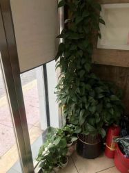 点击看大图 -环球蝶上美业连锁