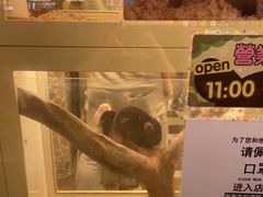 -龙猫仔乐园(惠福东路店)