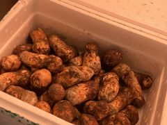 -鳥喜Toriki怀石烧鸟料理