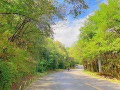 -棋盘山风景区
