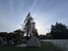 -上海滨江森林公园