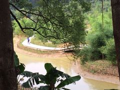 iphone_upload_pic-大屏嶂森林公园