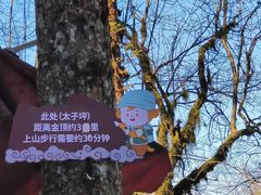 -峨眉山风景名胜区