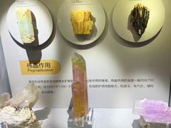 -湖南省地质博物馆