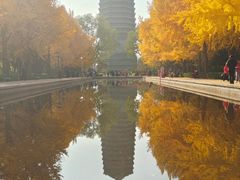-玲珑塔公园