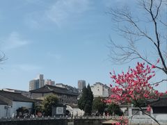-水绘园