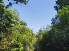 -红花湖景区