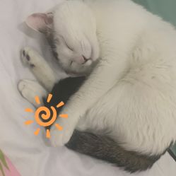 -Bodal美甲美睫皮肤管理工作室