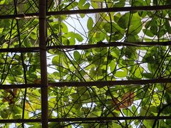-金稼园·金平湖农家菜