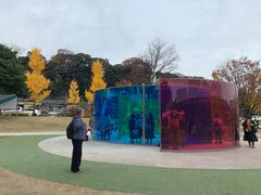 -金泽21世纪美术馆