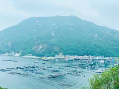 -南丫岛