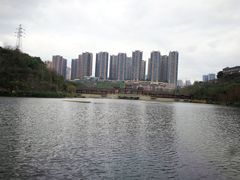 -重庆彩云湖湿地公园