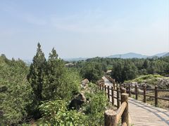 -白水寺森林公园