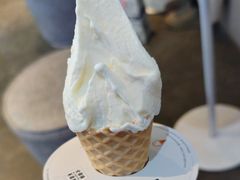 -野人牧坊Gelato(天津南开大悦城店)
