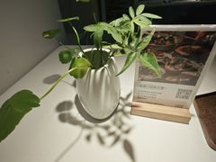 -春树下·树屋花房西餐厅(罍街AS1980店)