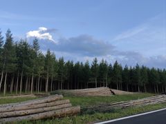 -塞罕坝国家级自然保护区