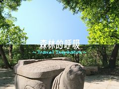 -沈阳市东陵公园
