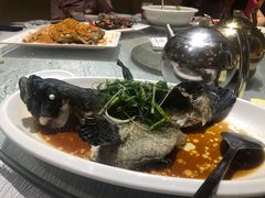 -强记海鲜·大排档(蛇口新街店)